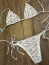 BIQUINI LACINHO ENCANTO FLORAL FARM REF 368826